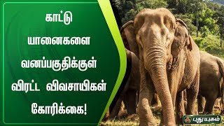 காட்டு யானைகளை வனப்பகுதிக்குள் விரட்ட விவசாயிகள் கோரிக்கை! | ஓசூர் | செய்தித் துளிகள் | PuthuyugamTV