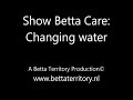 Show Betta Care: Changing Water