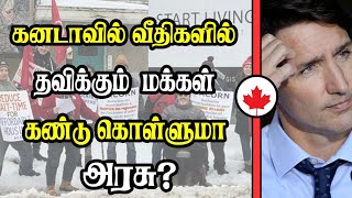 கனடாவில் வீதிகளில் தவிக்கும் மக்கள் - கண்டு கொள்ளுமா அரசு?