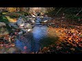 relaxation music full natural therapy sleep relaxation insomnia difficulty focusing stress