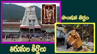 WATCH Tirumala ...Pandava theertham. తిరుమల లో...పాండవ తీర్థం...ఉంది  తెలుసా...