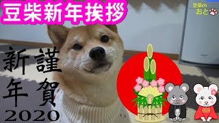 豆柴おと。2020年 「 新年のご挨拶 」(第84話) mameshiba💗shibainu🐶