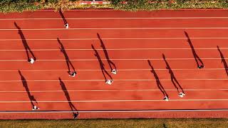 Running Shadows under Sunset