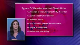 Developmental Disabilities in Children