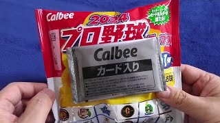 【カード開封】2024カルビープロ野球チップス 第1弾