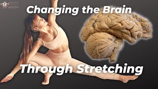 How Stretching REALLY Works