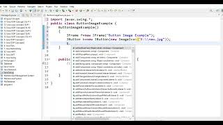 How to add Image on JButton | Swing Java | Lecture # 72 | Learn Programming