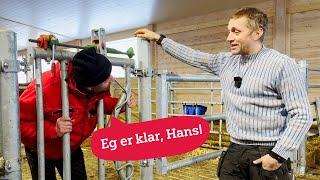 Full fart i melkekufjøset hos Hans Ulberg