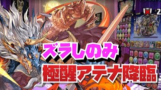 【ズラしのみ】極醒アテナ降臨シヴァドラ周回編成紹介！！【2月クエストダンジョン】【パズル\u0026ドラゴンズ】