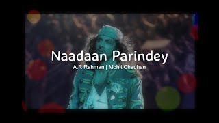 Nadaan Parindey[Slowed+Reverb]-A.R Rahman | Mohit Chauhan (rockstar edits)