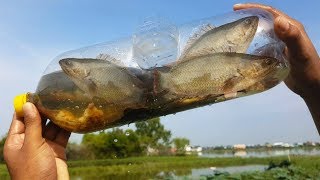 WOW! Awesome fish trap using plastic bottle - Amazing man catch a lot of fish
