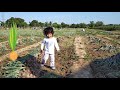 Two-year-old Abi Harvests Onion || Abi's Playtime