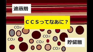 どうなる地球温暖化対策！森林減少ストップ！日本は途上国に支援を声明！ＣＯＰ２６。勝負の１０年！実は１０年ない！二酸化炭素を地中に埋めるってなあに？ゼロエミッション火力　かわさきＦＭ自然環境教育番組