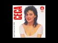 ceca dođi audio 1990 hd