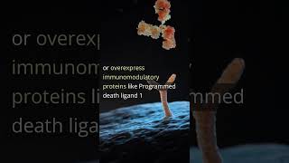 7i Engineering hypoimmune SC-islets