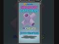 Blender Tips: Shadow Catchers in Blender using Cycles