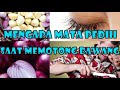 Mengapa Mata Perih Ketika Mengiris Bawang