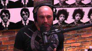 Miesha Tate Talks Ronda Rousey (from Joe Rogan Experience #794)