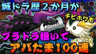 【初城ドラ実況】城ドラ歴2か月の新参者がブラドラ狙いでアバたま100連してみた【アバたまガチャ】