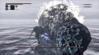 Bloodborne NG20 蜘蛛羅姆