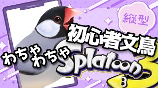 【昼活】わちゃわちゃ！？初心者文鳥のスプラ3！【バーチャル文鳥】