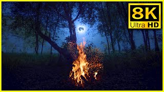 8K Relaxing Campfire in the Forest on Full Moon Night | Burning Campfire 4K & Crackling Fire Sounds