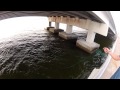 Cast netting for bait, Eau Gallie Cast netting for bait, Eau Gallie