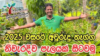 2025 වසරේ අවුරුදු තෑග්ග | සොබාදම් පියස | Sobadam Piyasa | Planting