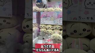 うさぎだららんぬいぐるみに挑戦したらハチワレを捕獲してしまった件【クレーンゲーム】#shorts