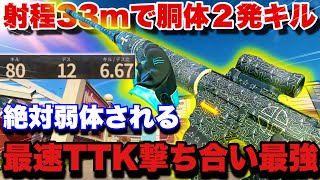 【破壊】胴体２発キルでラピファも優秀、連射速度爆盛りでチート武器認定です【BO6】