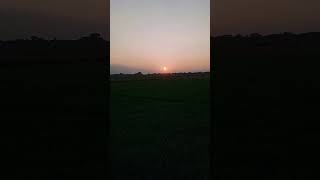 সবুজ ঘেরা আমাদের এই বাংলাদেশ #ahmedsarwar75 #shorts #islamicstatus  #sun #sunset #green