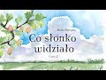 CO SŁONKO WIDZIAŁO CZ.1 - Bajkowisko - bajki dla dzieci po polsku