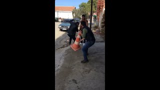 Barking Up The Wrong Tree: Man Scares Pal By Barking Into Traffic Cone