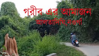 আলতাদিঘী জাতীয় উদ্যান, ধামইরহাট, নওগাঁ// Mohadevpur to Alta dighi tour// FRIENDS BIKER// PULOCK