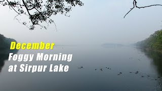 December Foggy Morning at Sirpur Lake Indore | Winter Bliss \u0026 Birds