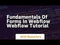 Fundamentals of forms in webflow webflow tutorial