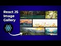 Build an Animated Image Gallery with React, Framer Motion & Tailwind CSS