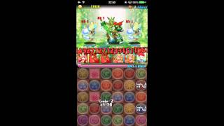 パズドラ【ガイア降臨！】超級　赤パロット×ヒソカ