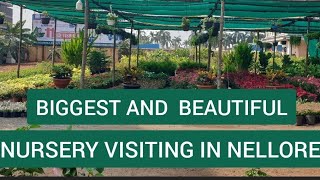 BIGGEST AND BEAUTIFUL NURSERY VISITING IN NELLORE