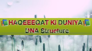 DNA STRUCTURE #haqeeqatkiduniya