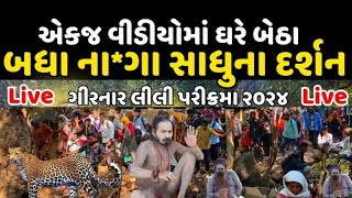 એક જ વીડીયોમં લીલીપરીક્રમાના દર્શન | Girnar lili Parikrama 2024 | Girnar Parikrama 2024