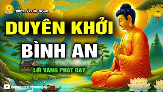 Tìm Bình An Trong Duyên Khởi: Chấp Nhận Để Sống Thanh Thản