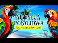 audycja pokojowa ks. mateusz szerszeń csma 15 02 2025