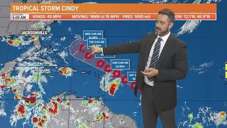 Is Florida threatened by Tropical Storm Cindy?