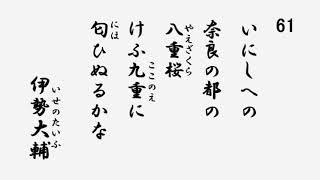 百人一首　音声 61 いにしへの奈良の都の八重桜　けふ九重に匂ひぬるかな 伊勢大輔