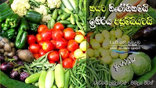 කයට නිරෝගිකමයි.. ඉතිරිය පසුම්බියටයි...