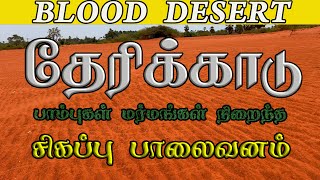 தேரிக்காடு மர்மதேசம் தமிழ்நாட்டின் பாலைவனம் RED DESERT