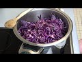 rotkohl selber kochen klassisch und einfach thomas kocht