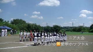 20190825厚木ジュニア大会2回戦　やまがら🆚愛甲小ソフトA