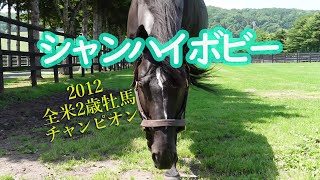 2012全米2歳牡馬チャンピオン シャンハイボビー Shanghai Bobby